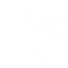 SMSR Logo